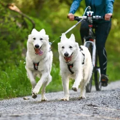 Non-Stop Dogwear Freemotion Harness | OUTLET