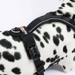 Non-Stop Dogwear Line Harness 5.0 | OUTLET