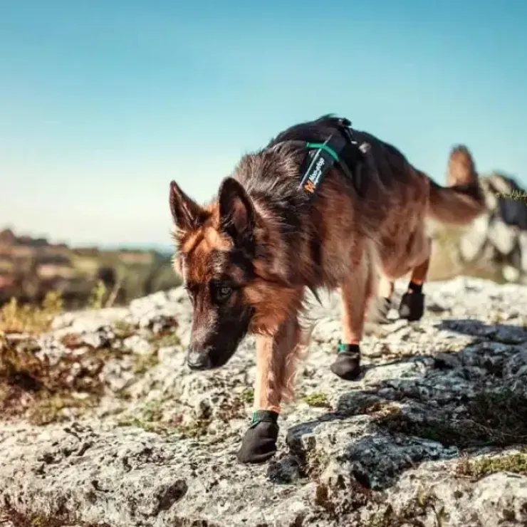 Non-Stop dogwear protector bootie | 4 stk | OUTLET