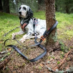 Non-stop dogwear Touring Bungee Adjustable | OUTLET
