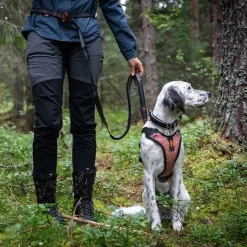 Non-stop dogwear Touring Bungee Adjustable | OUTLET