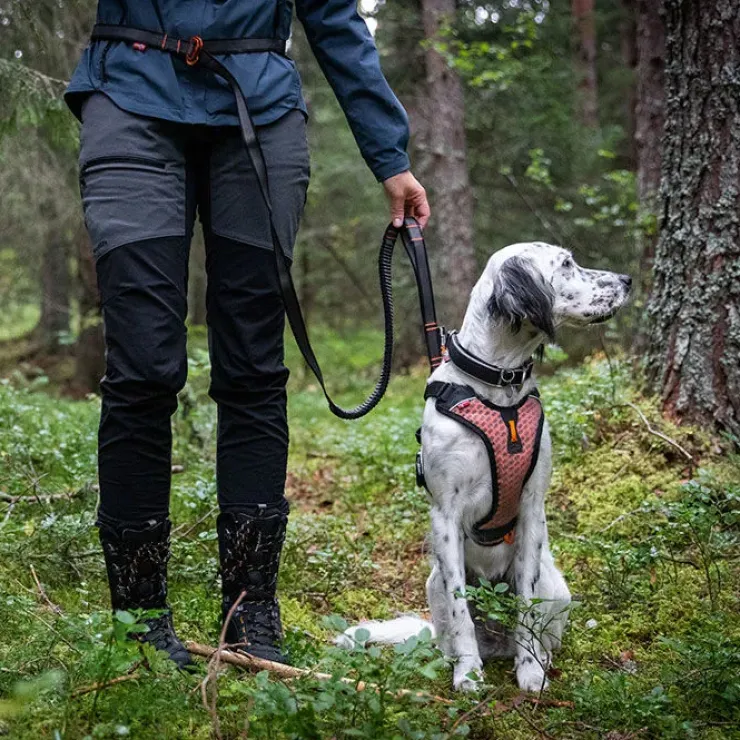 Non-stop dogwear Touring Bungee Adjustable | OUTLET