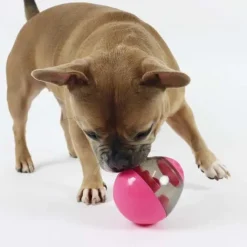 Nordic Paws Aktivitetsæg