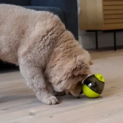 Nordic Paws Aktivitetsæg