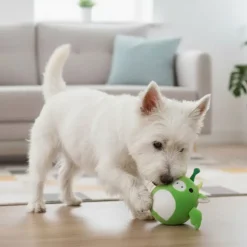 Nordic Paws Flompie Drage