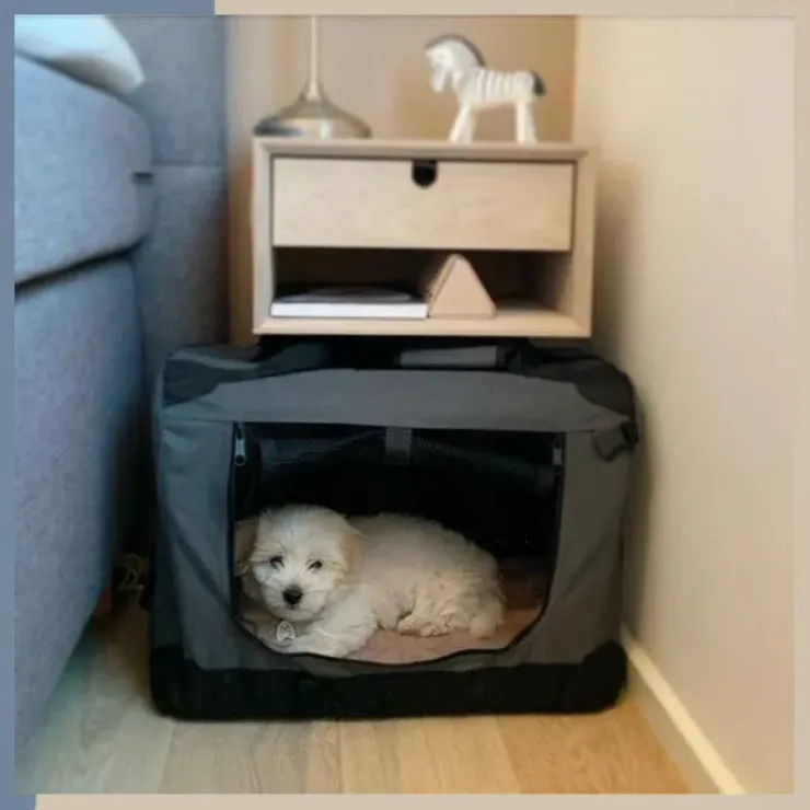 Nordic Paws Soft Transportbur Foldbar
