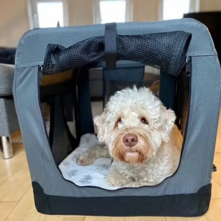 Nordic Paws Soft Transportbur Foldbar