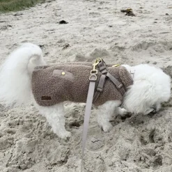 Ollipet Aarhus Hundejakke