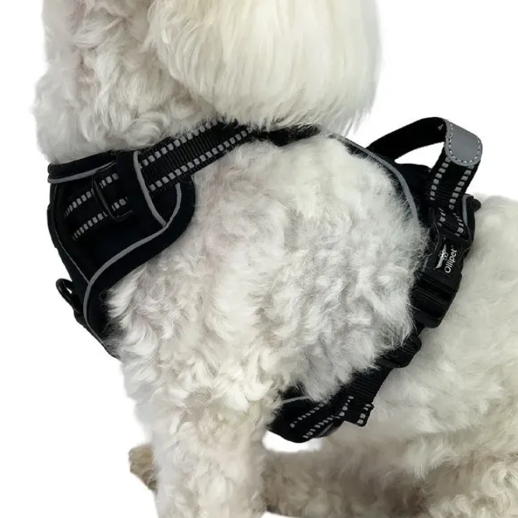 Ollipet Adventure Hundesele Sort str. XL, OUTLET