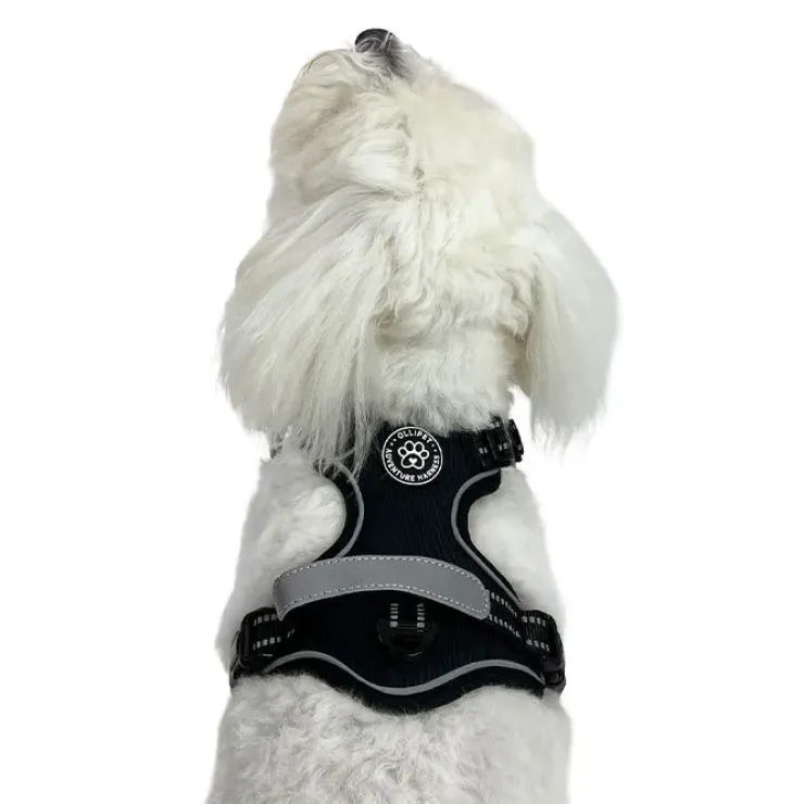 Ollipet Adventure Hundesele Sort str. XL, OUTLET
