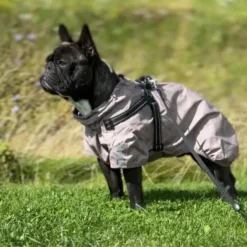 Ollipet Aqua Explorer De Luxe Strong Body Regnjakke | M. Sele