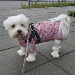 Ollipet Aqua Explorer De LuxeRegnjakke | Med Sele