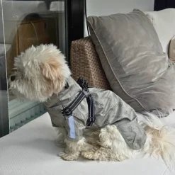 Ollipet Aqua Explorer De LuxeRegnjakke | Med Sele
