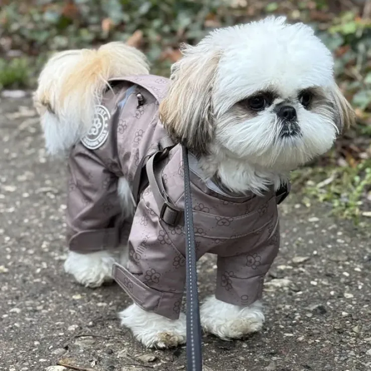 Ollipet Aqua Regndragt
