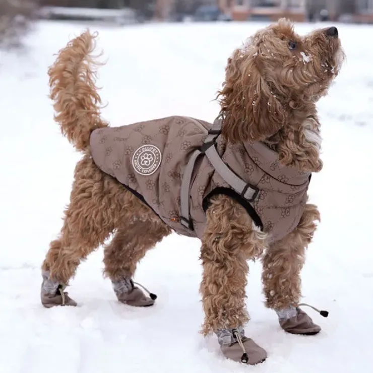 Ollipet Arctic Explorer | Hundedækken