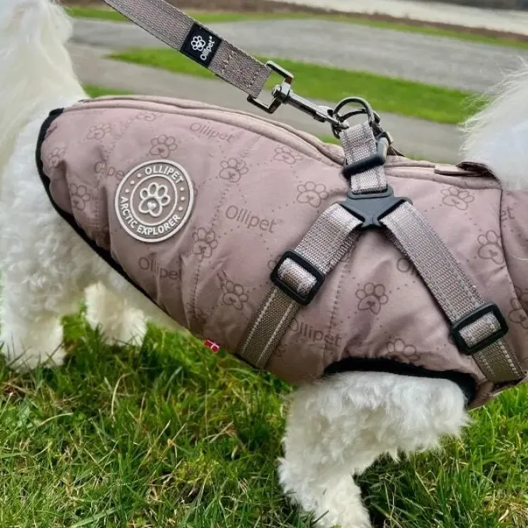 Ollipet Arctic Explorer | Hundedækken