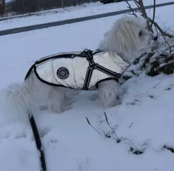 Ollipet Arctic Explorer Refleks | Vinterdækken