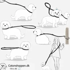Ollipet Arctic Explorer | Refleks Dressurline