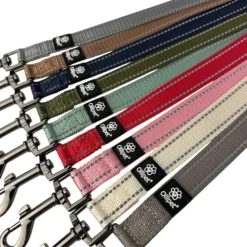 Ollipet Arctic Explorer | Refleks Dressurline