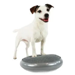 Ollipet Balancepude