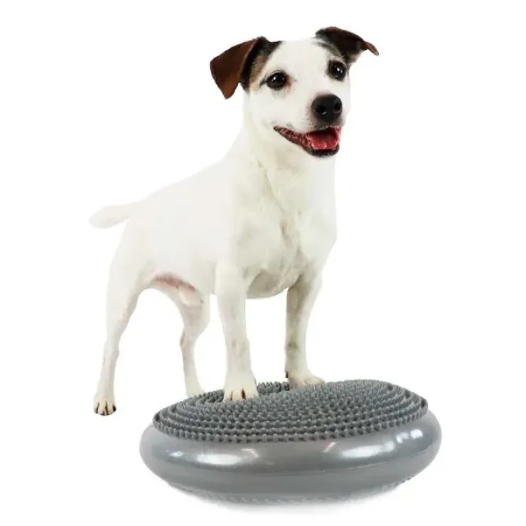 Ollipet Balancepude