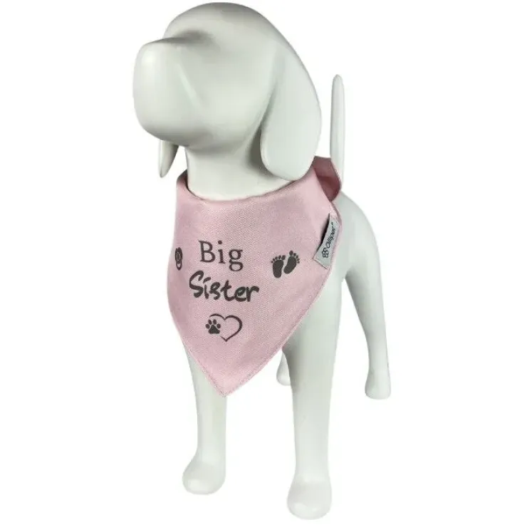 Ollipet "Big brother/sister" Bandana