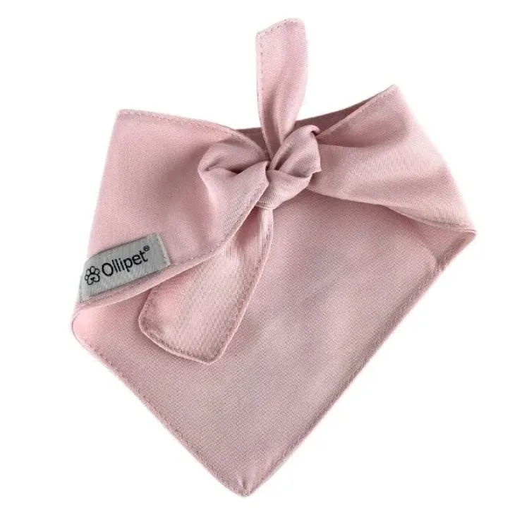 Ollipet "Big brother/sister" Bandana