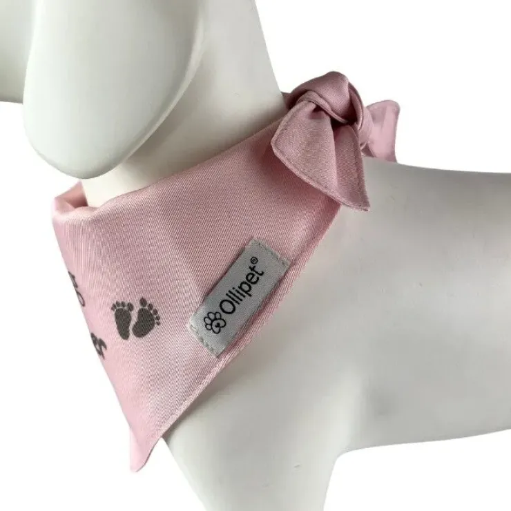 Ollipet "Big brother/sister" Bandana