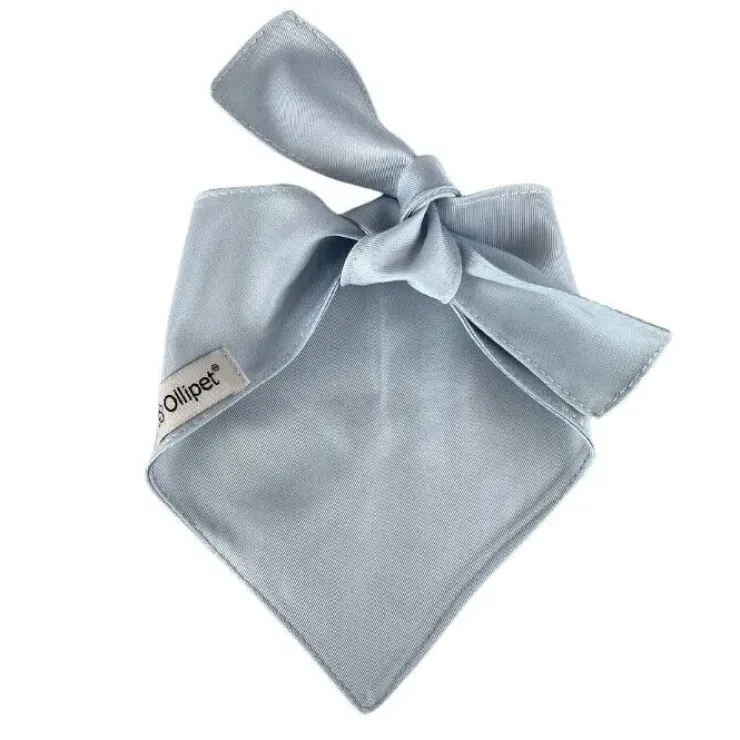 Ollipet "Big brother/sister" Bandana