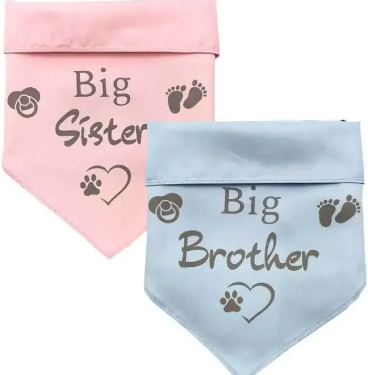 Ollipet "Big brother/sister" Bandana