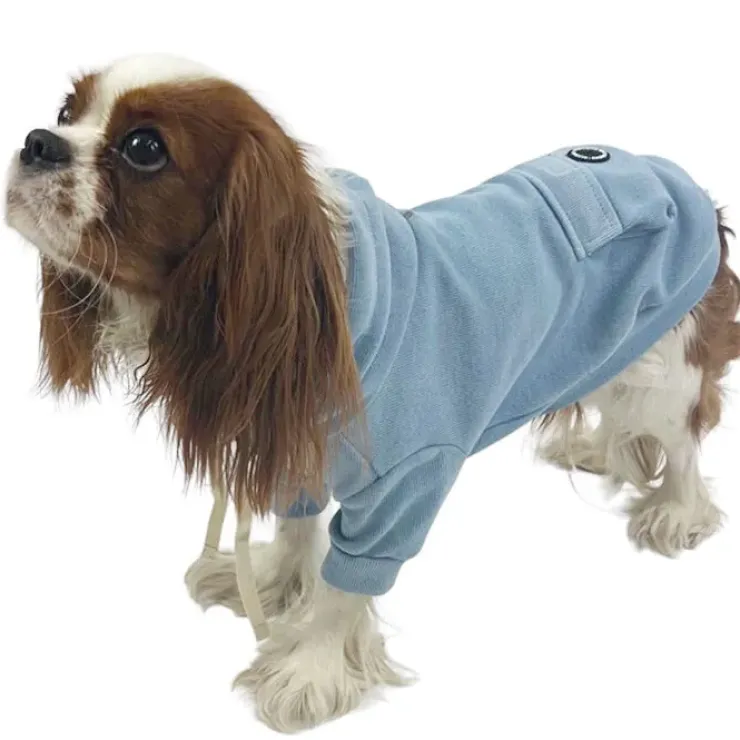 Ollipet Buddy Hoodie | Lyseblå