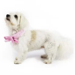 Ollipet Butterfly Cooling Bandana