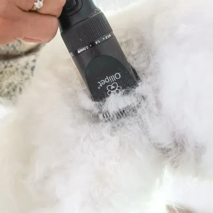Ollipet Ceramic Pro Clipper | Klippemaskine