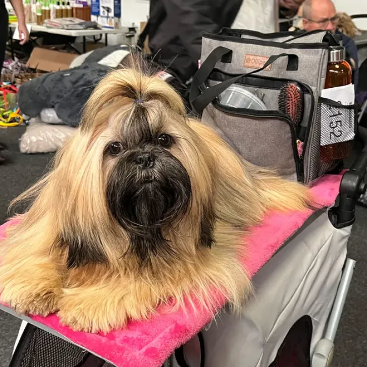 Ollipet Champ Groomingtaske