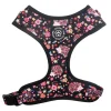Ollipet City Lux Hundesele | Cute Hedgehog | OUTLET