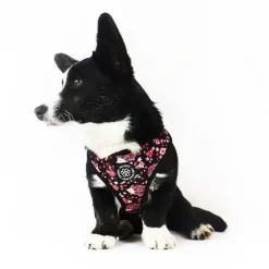 Ollipet City Lux Hundesele | Cute Hedgehog | OUTLET