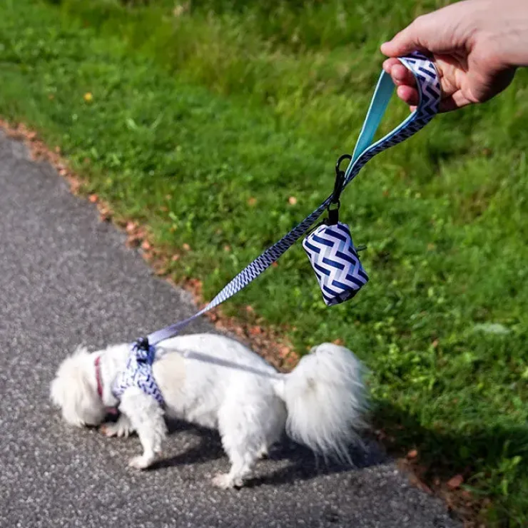 Ollipet City Lux Hundesnor | Zig Zag | OUTLET