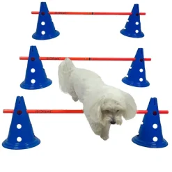 Ollipet DogFit Agility | Hurdle Cone set