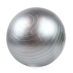 Ollipet DogFit Air | Balance Ball