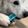 Ollipet dog toothbrush activity stick