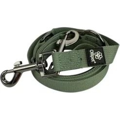 Ollipet | Dressurline