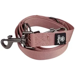 Ollipet | Dressurline