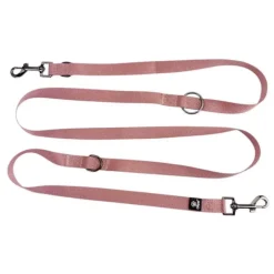 Ollipet | Dressurline