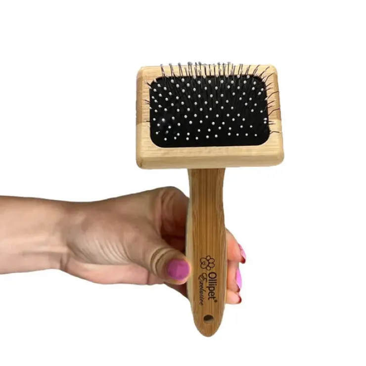 Ollipet Exclusive Bambus Karte