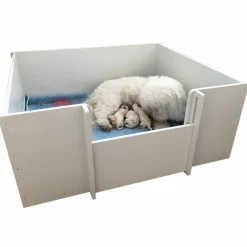Ollipet Fødekasse til Hunde | Plast