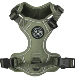 Ollipet For Wagging Tails | Adventure Hundesele 2.0