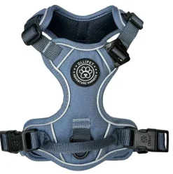 Ollipet For Wagging Tails | Adventure Hundesele 2.0
