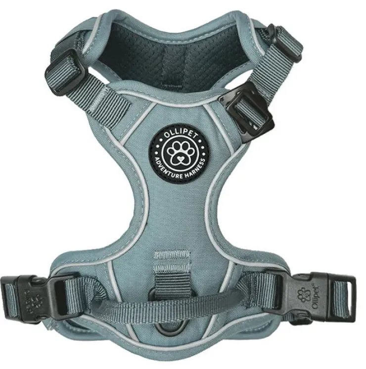 Ollipet For Wagging Tails | Adventure Hundesele 2.0