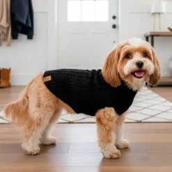 Ollipet for Wagging Tails | Hundesweater