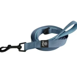 Ollipet For Wagging Tails | Hundesnor